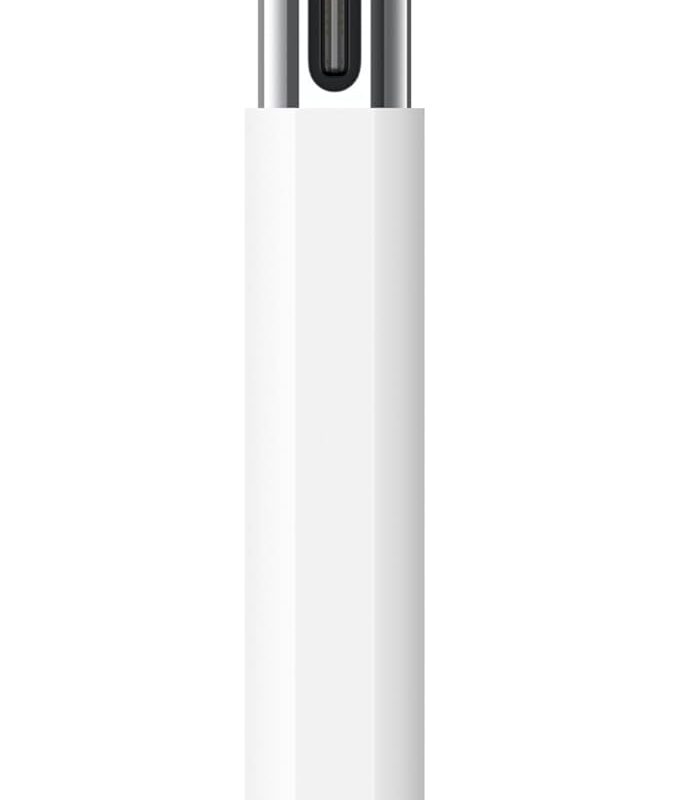 Apple Pencil USB-C (1ª Gen) (Lacrado)